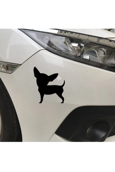 Sevimli Köpek Tasarım  Oto Sticker 2 Parça17*14,5 Cm ürün görseli 1