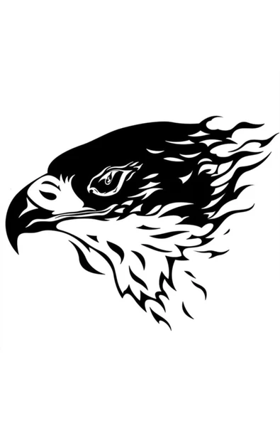 Siyah Kartal Araç Ön Kaput Sticker 30*30 ürün görseli 1