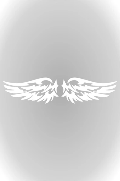 Kanat Oto Sticker 2 Adet Beyaz 15 Cm ürün görseli 1