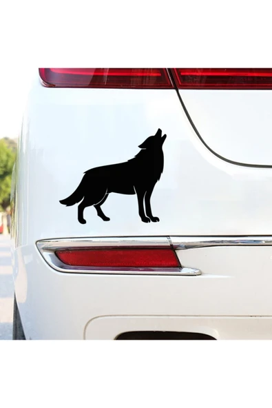 Kurt Tasarım Oto Sticker 17*15 Cm ürün görseli 1