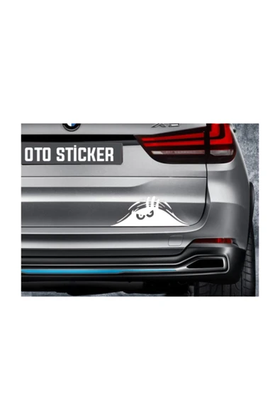 Öfkeli Surat Oto Sticker 25*11,5 Cm ürün görseli 1