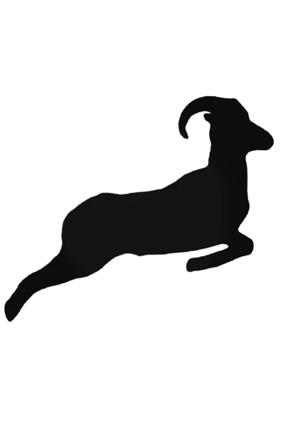 Koç 5 Oto Sticker 20 Cm ürün görseli 1