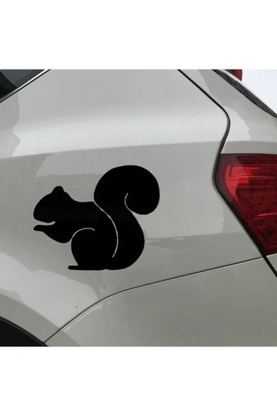 Sincap Tasarım Oto Sticker 10*9 Cm ürün görseli 1
