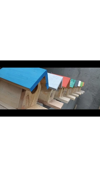 Ahşap Kuş Yuvası - Resim 3