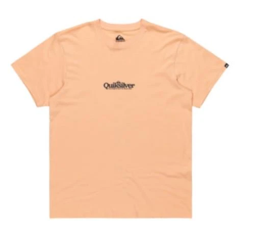 Quiksilver EQYZT08062-MEF0 Fineline Ss Erkek Spor Tişört ürün görseli 1