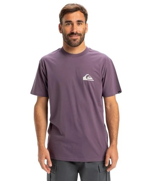 Quiksilver EQYZT08042-PQC0 Ev Mini Logo Ss Erkek Spor Tişört ürün görseli 1