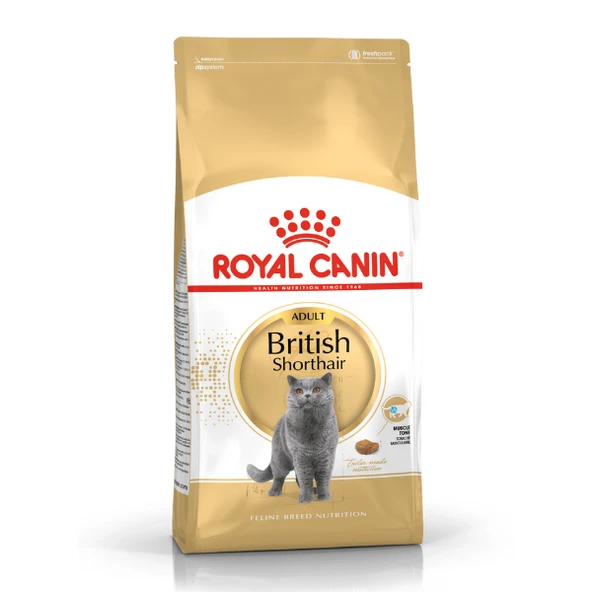 Royal Canin British Shorthair Adult Kedi Maması 2 Kg ürün görseli 1