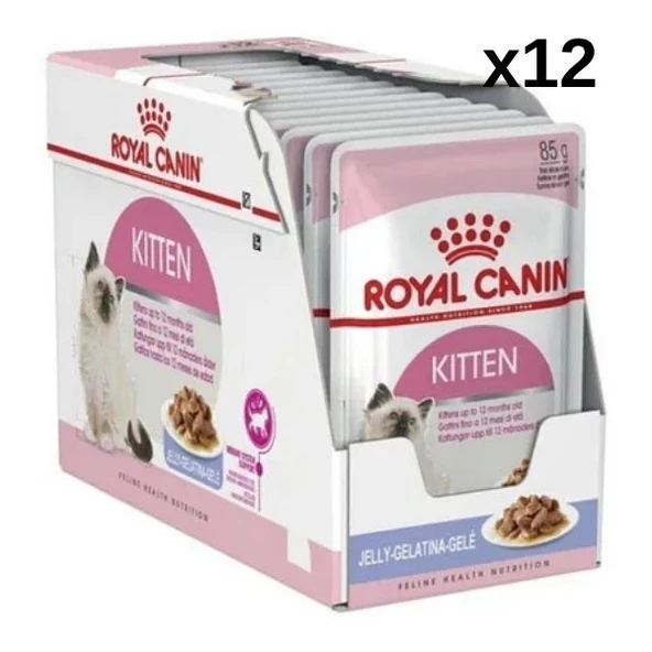 Royal Canin Kitten Jelly Yavru Kedi Yaş Mama 85 gr x 12 Adet ürün görseli 1