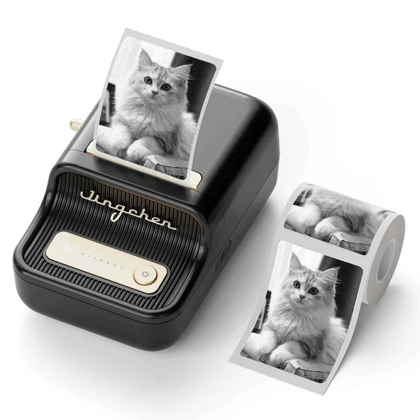 Niimbot B21S Bluetooth Taşınabilir Termal Etiket Yazıcı-Siyah ürün görseli 1