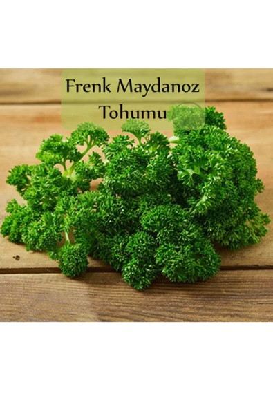 Kıvırcık Frenk Maydanoz Tohumu 1 Paket 10 Gr. Frenk Maydanozu Yüksek Verimli Paket Tohum ürün görseli 1