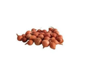 Kıska Soğan 500 Gr. Arpacık Soğan Iska Soğan Tohumu Iska ürün görseli 1