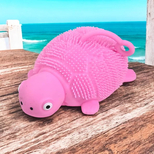 LED IŞIKLI KAPLUMBAĞA OYUNCAK PEMBE KAPLUMBAĞA STRES OYUNCAĞI YENİ NESİL YUMUŞAK YOYO KAPLUMBAĞA ürün görseli 1