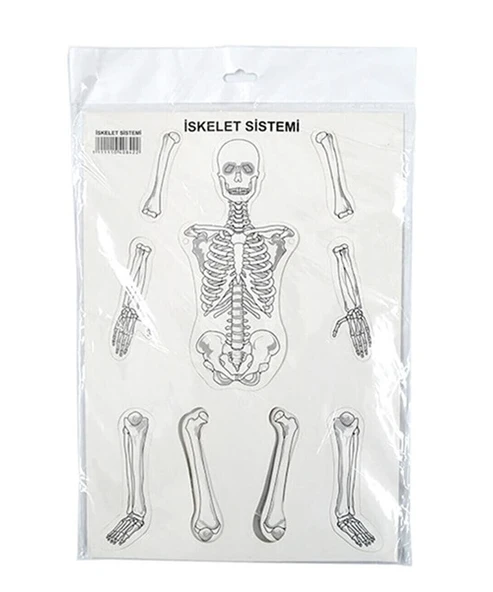 Karton İskelet Sistemi - 3 adet ürün görseli 1