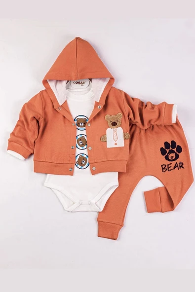 Bear Nakışlı Kapişonlu Erkek Bebek Takım ürün görseli 1