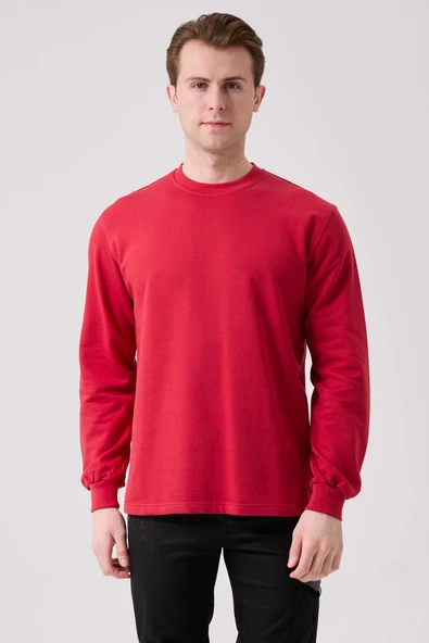 Galanthus Basic Sweatshirt - Uzun Kollu, Pamuklu, Rahat Kesim, Günlük ve İş Kullanımı İçin ürün görseli 1
