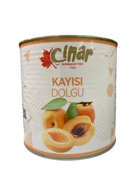 ÇINAR KAYISI DOLGU 2700 G ürün görseli 1