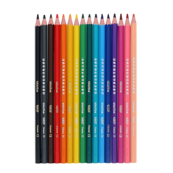 Bic Evolution 288'li Masa Üstü Kuru Boya Kalem Seti - Resim 3