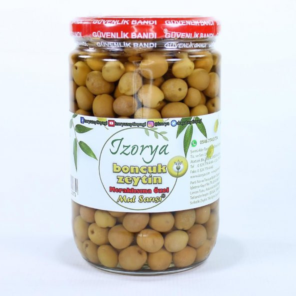 No: Sıfır Boncuk Zeytin 400g Cam ürün görseli 1