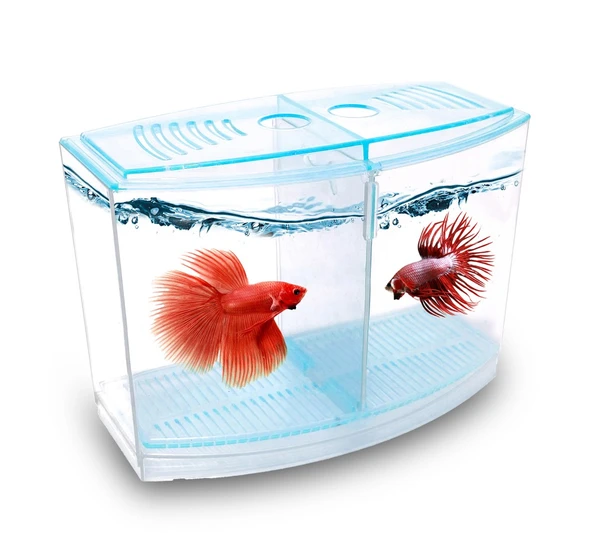Atlantik Betalık 9X19X14Cm 1800 Ml Beta Tank ürün görseli 1