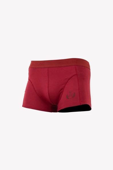 DoReMi Erkek Boxer - Resim 2