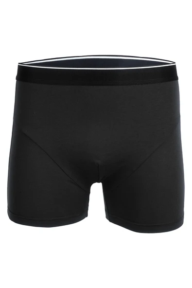 Bsm Erkek Modal Boxer 44503 ürün görseli 1