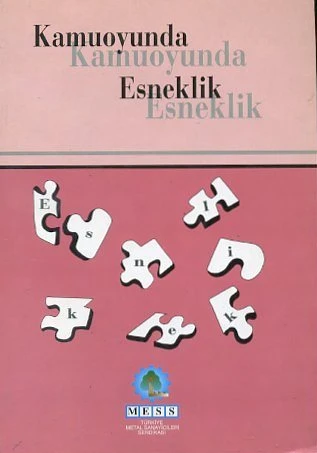 Kamuoyunda Esneklik ürün görseli 1