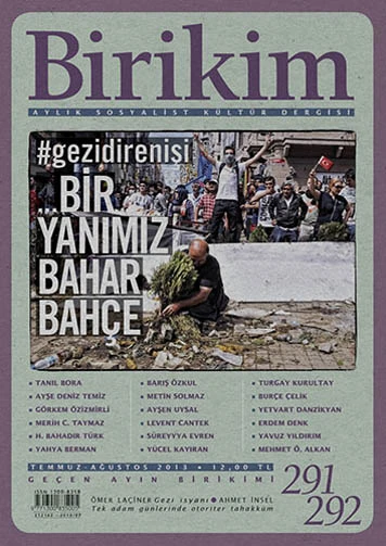 Birikim 291 292 Temmuz Ağustos 2013 ürün görseli 1