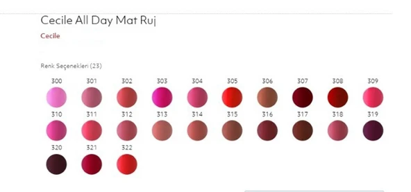 Cecile All Day Matte Rouge Mat Ruj 313 ürün görseli 1