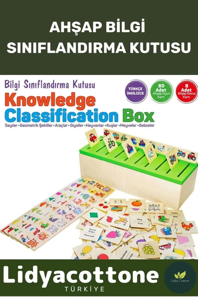 Premium Zeka Geliştirici Kişisel Gelişim Çocuk Ahşap Bilgi Sınıflandırma Kutusu Eğitici Öğretici ürün görseli 1