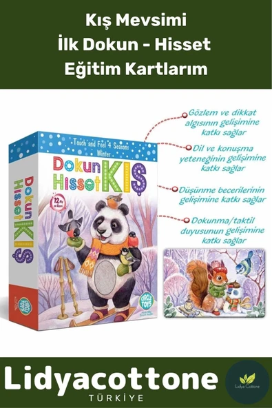 Premium Dikkat Algı Duyusal Görsel Gelişimi Eğlenceli Öğrenme Çocuk Hisset Tanı Kış Eğitim Kartları ürün görseli 1