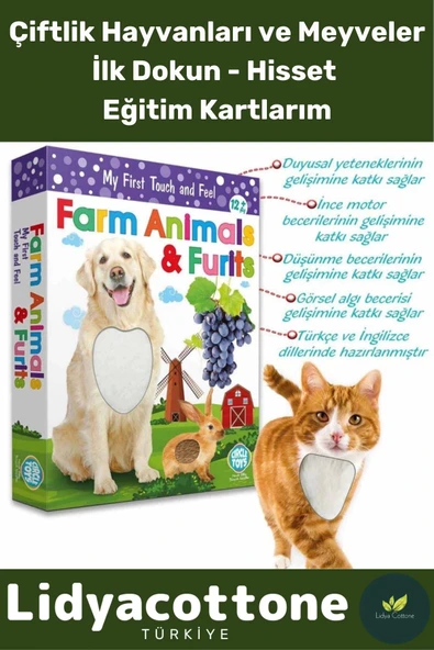 Premium I?nce Motor Gelişimi Görsel Algı Öğrenme Dokun Hisset Çiftlik Hayvanları Ve Meyveler ürün görseli 1
