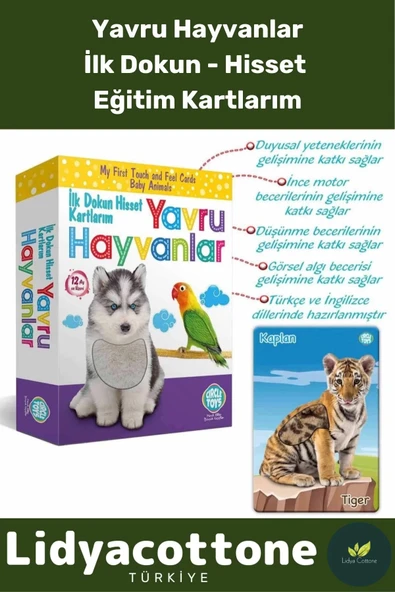 Premium İnce Motor Gelişimi Görsel Algı Eğlenceli Eğitim Kartları Dokun Hisset Tanı Yavru Hayvanlar ürün görseli 1