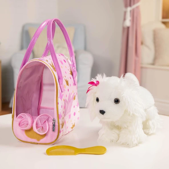 Pucci Pups Maltese - Resim 4