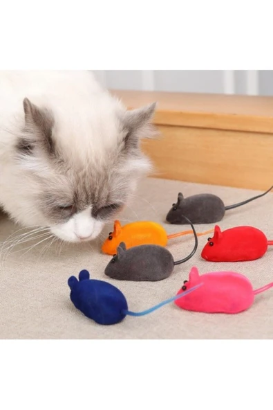 4 Adet Kedi Eğitim Oyun Faresi Sesli ürün görseli 1