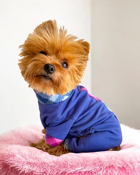 Monogram Purp Köpek Tulum Pijama - Resim 4