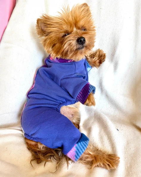 Monogram Purp Köpek Tulum Pijama ürün görseli 1