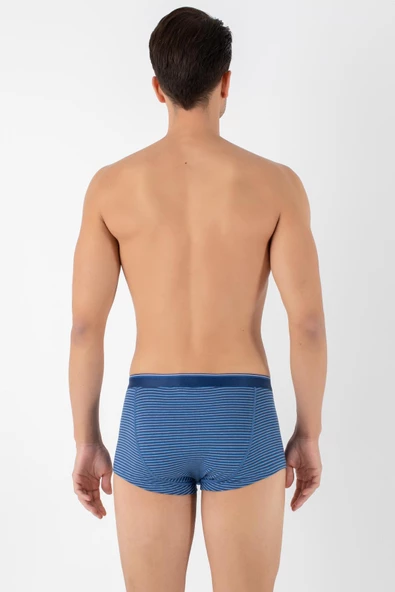 DoReMi Dennis Cotton Erkek Boxer - Resim 5