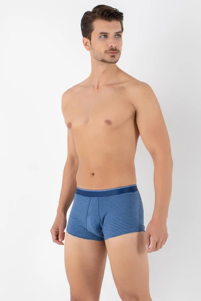 DoReMi Dennis Cotton Erkek Boxer - Resim 2