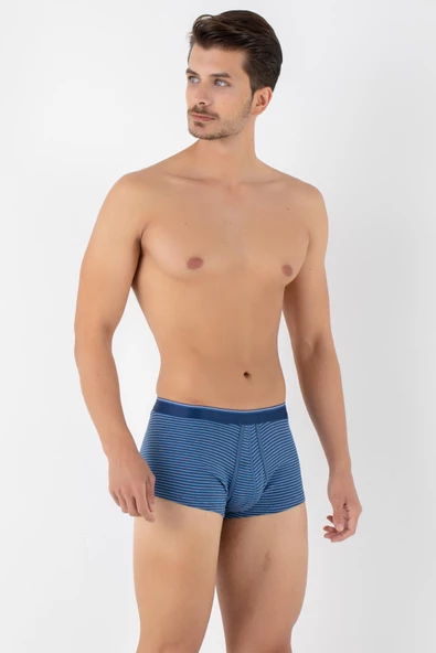 DoReMi Dennis Cotton Erkek Boxer - Resim 7