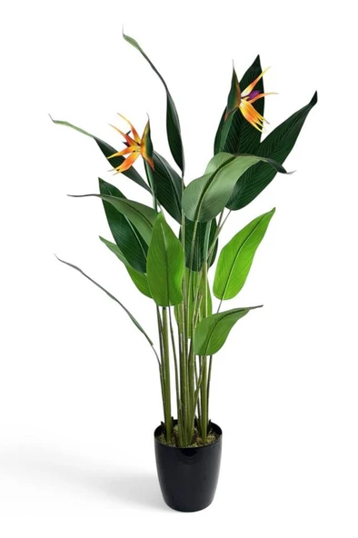 Nettenevime Yapay Ağaç Starliçe 160cm Horoz İbiği Çiçekli Bird of Paradise Artificial Plants ürün görseli 1