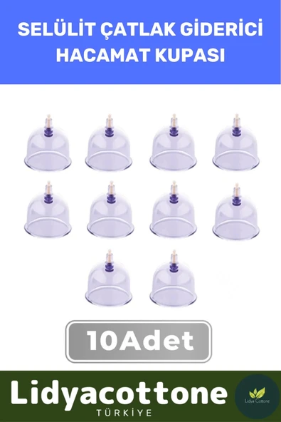 Hacamat Kupası 10 Adet Premium Seri Çatlak Vakumlu 6 Numara ürün görseli 1
