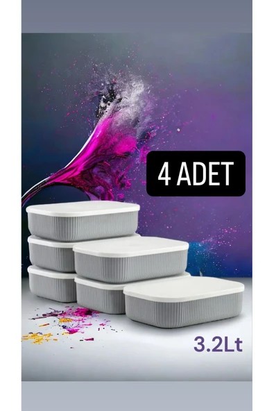 4 Adet Storage 3,2 Lt Gri Dolap Düzenleyici Kutu Çorap Kıyafet Kapaklı Ayakkabı Bot Saklama Kabı ürün görseli 1