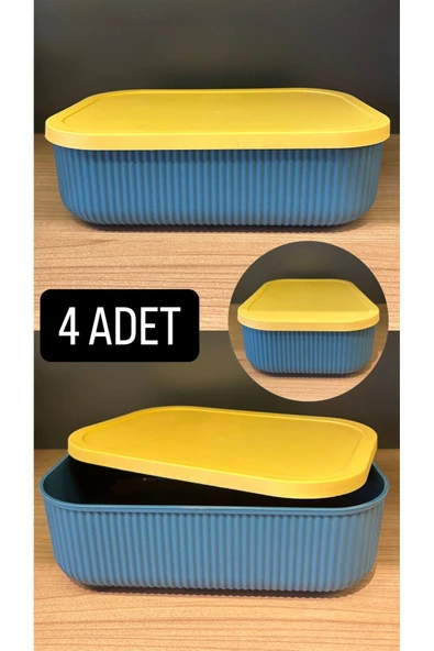 4 Adet Storage 3,2 Lt Yeşil Dolap Düzenleyici Kutu Çorap Kıyafet Kapaklı Ayakkabı Bot Saklama Kabı ürün görseli 1