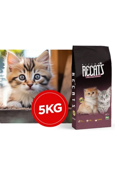 Hs Tarım Recats Kitten Tavuklu Yavru Kedi Maması 5 KG ürün görseli 1