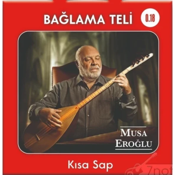 Musa Eroğlu Kısa Sap Bağlama Teli - Resim 2