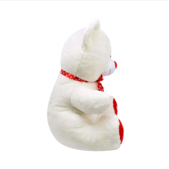 HEDİYELİK 57CM PELUŞ AYI - Resim 5