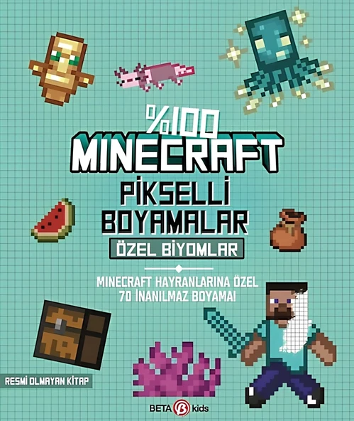 %100 Minecraft Pikselli Boyamalar Özel Biyomlar - Resim 2