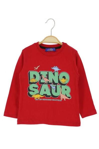 Erkek Çocuk Sweatshirt Yazılı - Resim 9