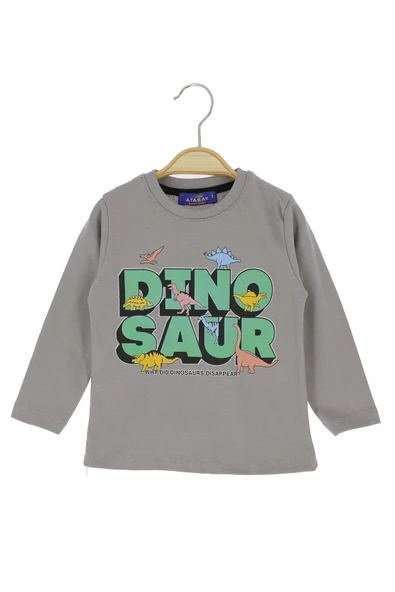 Erkek Çocuk Sweatshirt Yazılı ürün görseli 1