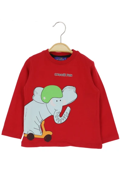 Erkek Çocuk Sweatshirt Fil - Resim 7